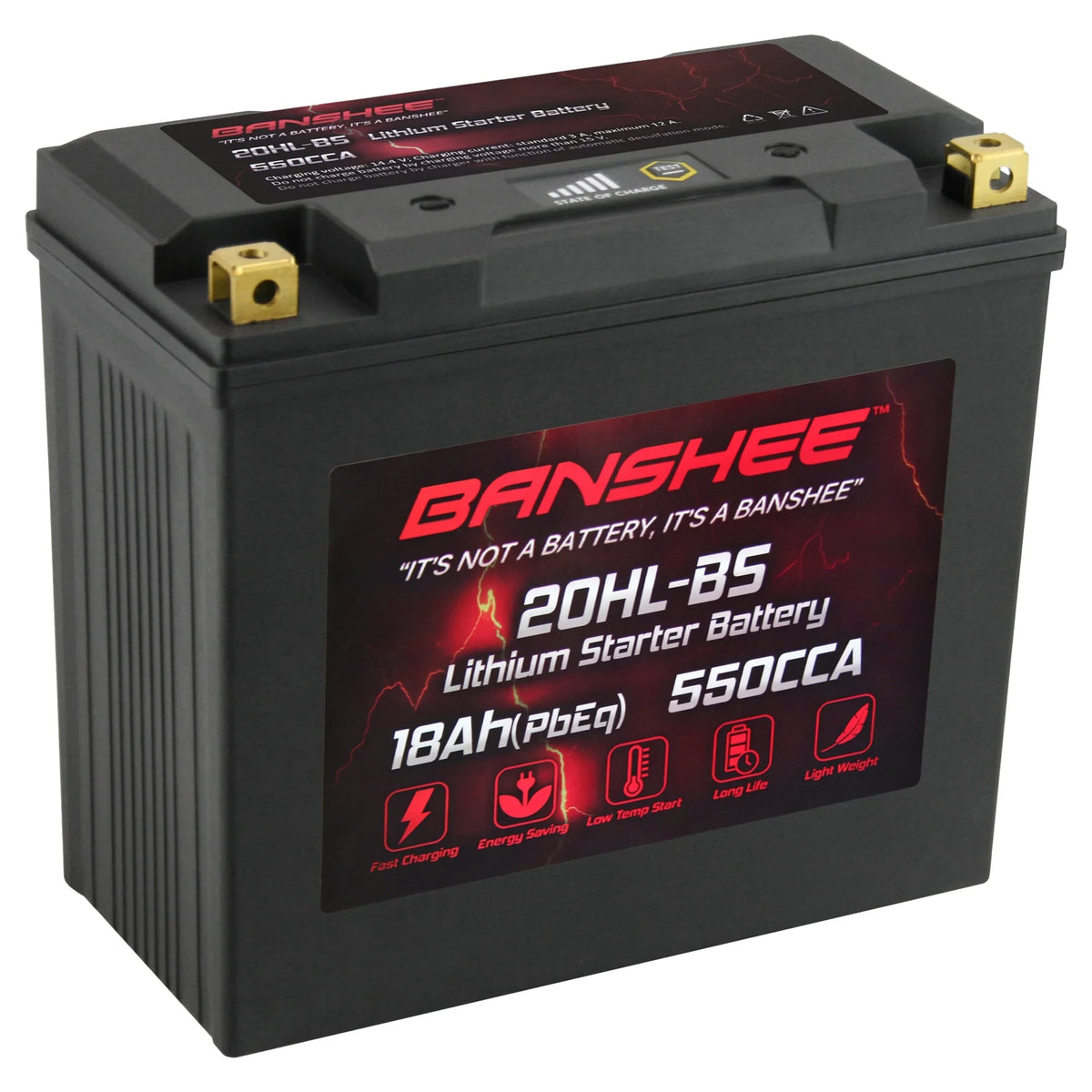 Banshee YTX20L-BS LiFePO4 Motorsports Battery matching with Sea-Doo 3D RFI 2005 to 2005