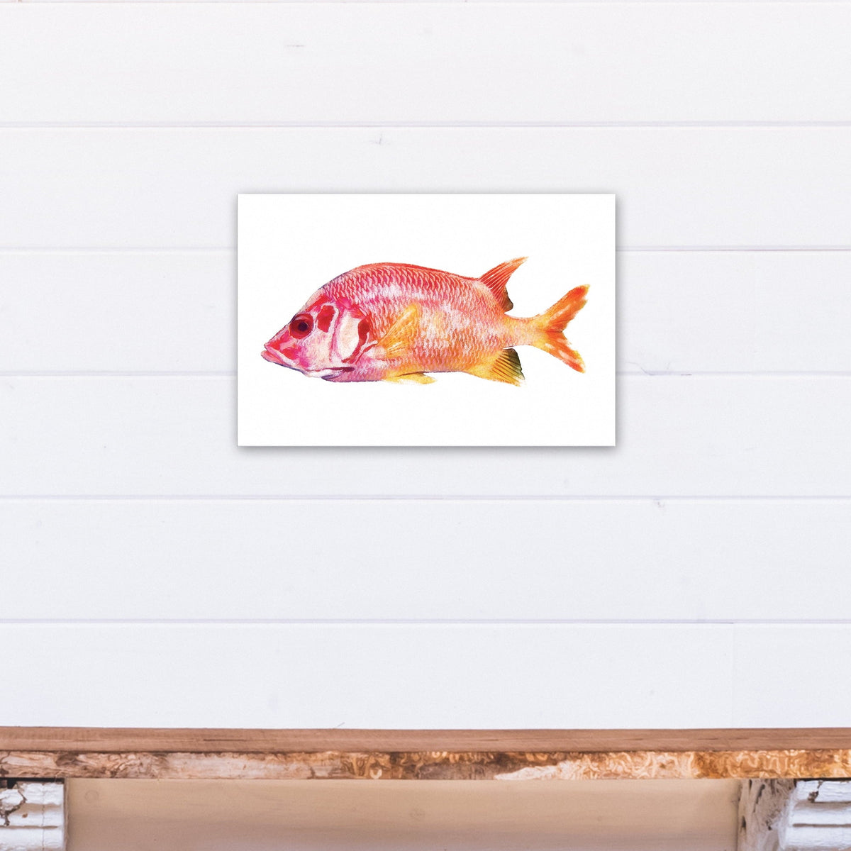 Creative Products Tropical Red Snapper Fish 12x18 Canvas Wall Art